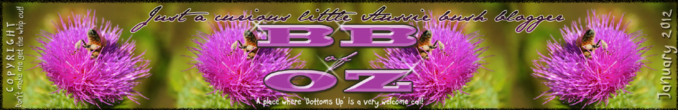 Bush Babe of Oz