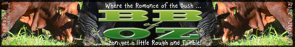 Bush Babe of Oz