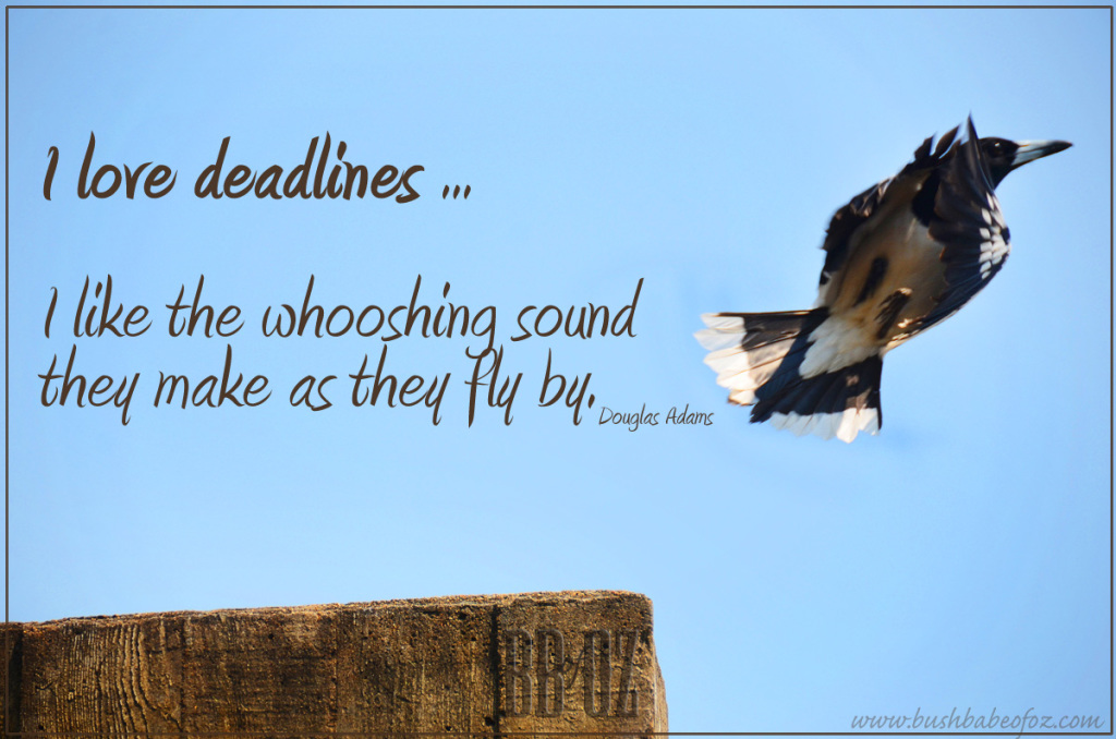 BIRD_2707 deadline quote